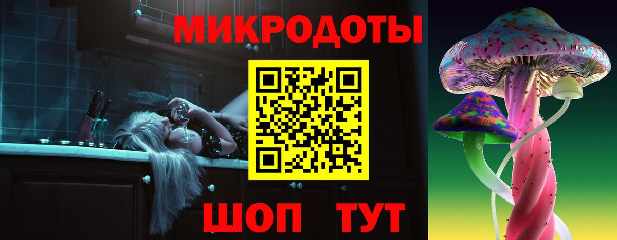 Новомосковск  Галлюциногенные грибы Psilocybe  Вход с VPN 